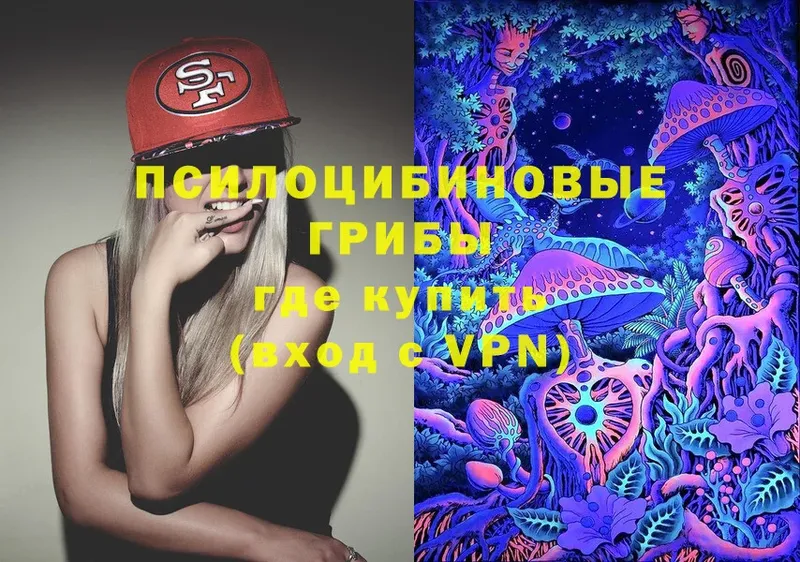 дарк нет как зайти  Правдинск  Псилоцибиновые грибы Psilocybine cubensis 